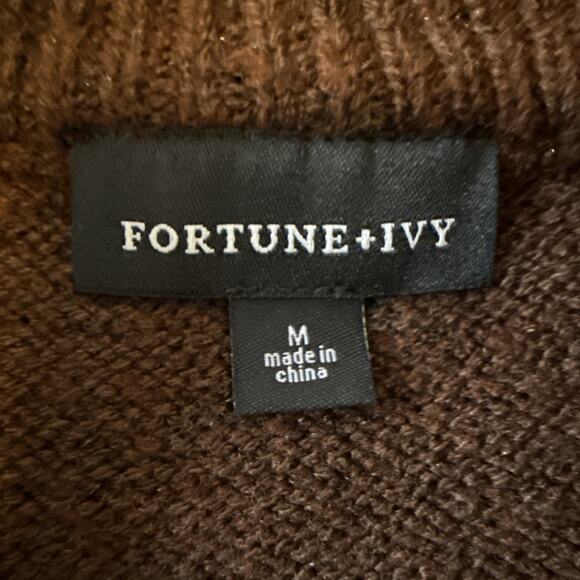 Fortune & Ivy Womens M Boho Fall Color block Stripe Lightweight Sweater Academia - Picture 3 of 9